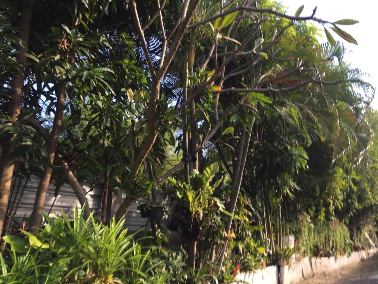 Nan Inn Bungalow Karon Εξωτερικό φωτογραφία